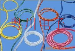 ��ʽ������