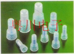 �ն��ӣ����죩